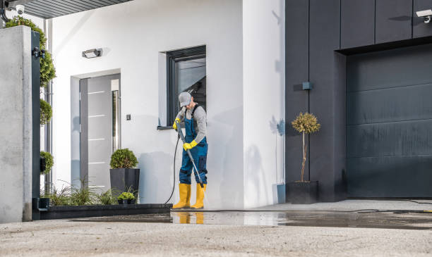 Best Pre-Holiday Cleaning  in Hoffman Estates, IL